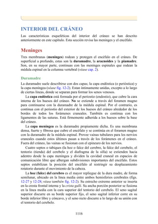 ANATOMIA SNELL 10MA EDICION ESPAÑOL.pdf