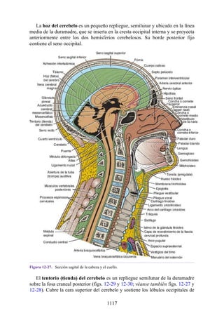 ANATOMIA SNELL 10MA EDICION ESPAÑOL.pdf