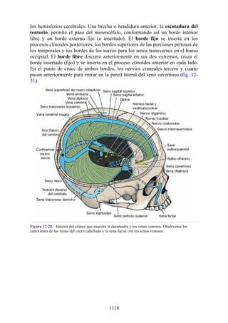 ANATOMIA SNELL 10MA EDICION ESPAÑOL.pdf