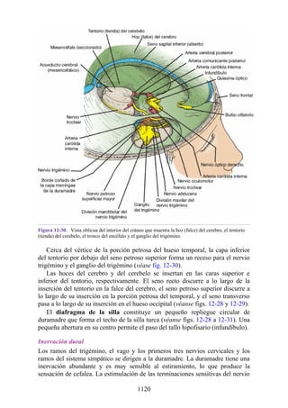 ANATOMIA SNELL 10MA EDICION ESPAÑOL.pdf