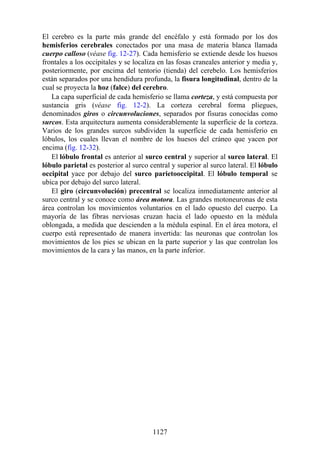 ANATOMIA SNELL 10MA EDICION ESPAÑOL.pdf