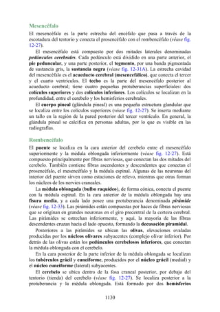 ANATOMIA SNELL 10MA EDICION ESPAÑOL.pdf