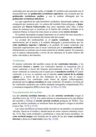 ANATOMIA SNELL 10MA EDICION ESPAÑOL.pdf