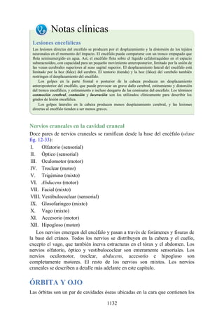ANATOMIA SNELL 10MA EDICION ESPAÑOL.pdf