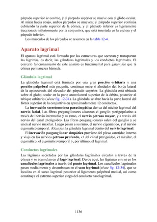 ANATOMIA SNELL 10MA EDICION ESPAÑOL.pdf