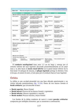 ANATOMIA SNELL 10MA EDICION ESPAÑOL.pdf