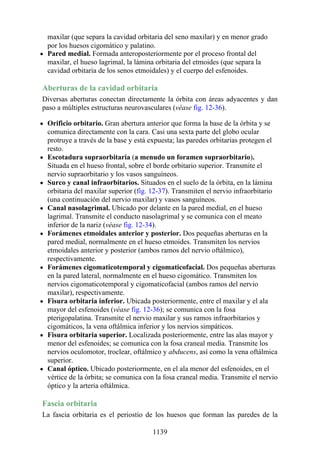 ANATOMIA SNELL 10MA EDICION ESPAÑOL.pdf