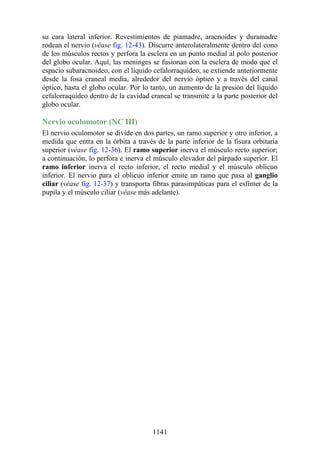 ANATOMIA SNELL 10MA EDICION ESPAÑOL.pdf