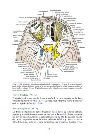 ANATOMIA SNELL 10MA EDICION ESPAÑOL.pdf