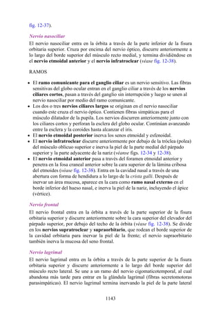 ANATOMIA SNELL 10MA EDICION ESPAÑOL.pdf