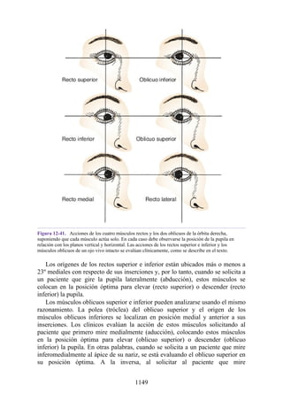 ANATOMIA SNELL 10MA EDICION ESPAÑOL.pdf