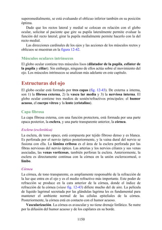 ANATOMIA SNELL 10MA EDICION ESPAÑOL.pdf