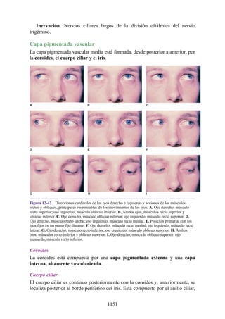 ANATOMIA SNELL 10MA EDICION ESPAÑOL.pdf