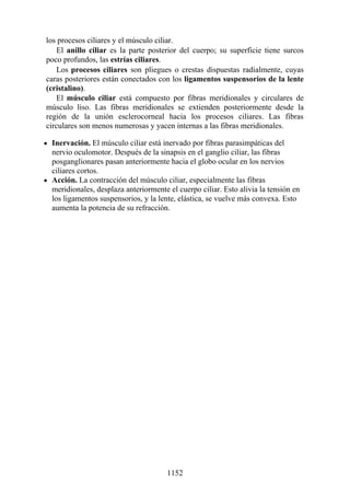 ANATOMIA SNELL 10MA EDICION ESPAÑOL.pdf