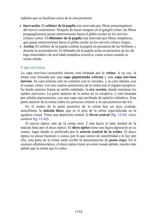 ANATOMIA SNELL 10MA EDICION ESPAÑOL.pdf