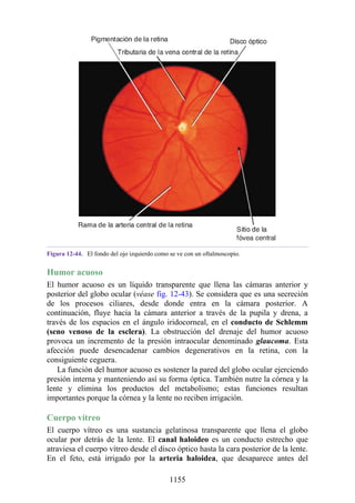 ANATOMIA SNELL 10MA EDICION ESPAÑOL.pdf