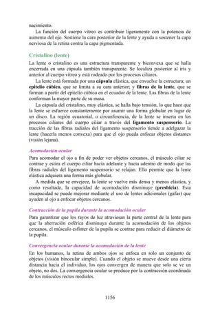 ANATOMIA SNELL 10MA EDICION ESPAÑOL.pdf