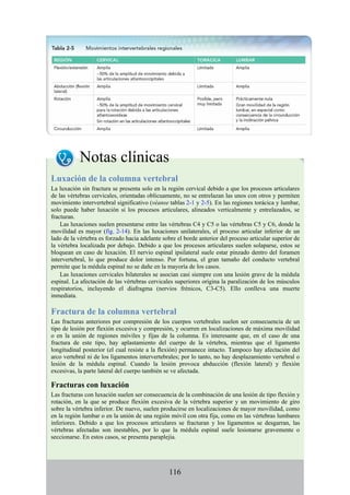 Notas clínicas
Luxación de la columna vertebral
La luxación sin fractura se presenta solo en la región cervical debido a que los procesos articulares
de las vértebras cervicales, orientadas oblicuamente, no se entrelazan las unos con otros y permiten
movimiento intervertebral significativo (véanse tablas 2-1 y 2-5). En las regiones torácica y lumbar,
solo puede haber luxación si los procesos articulares, alineados verticalmente y entrelazados, se
fracturan.
Las luxaciones suelen presentarse entre las vértebras C4 y C5 o las vértebras C5 y C6, donde la
movilidad es mayor (fig. 2-14). En las luxaciones unilaterales, el proceso articular inferior de un
lado de la vértebra es forzado hacia adelante sobre el borde anterior del proceso articular superior de
la vértebra localizada por debajo. Debido a que los procesos articulares suelen solaparse, estos se
bloquean en caso de luxación. El nervio espinal ipsilateral suele estar pinzado dentro del foramen
intervertebral, lo que produce dolor intenso. Por fortuna, el gran tamaño del conducto vertebral
permite que la médula espinal no se dañe en la mayoría de los casos.
Las luxaciones cervicales bilaterales se asocian casi siempre con una lesión grave de la médula
espinal. La afectación de las vértebras cervicales superiores origina la paralización de los músculos
respiratorios, incluyendo el diafragma (nervios frénicos, C3-C5). Ello conlleva una muerte
inmediata.
Fractura de la columna vertebral
Las fracturas anteriores por compresión de los cuerpos vertebrales suelen ser consecuencia de un
tipo de lesión por flexión excesiva y compresión, y ocurren en localizaciones de máxima movilidad
o en la unión de regiones móviles y fijas de la columna. Es interesante que, en el caso de una
fractura de este tipo, hay aplastamiento del cuerpo de la vértebra, mientras que el ligamento
longitudinal posterior (el cual resiste a la flexión) permanece intacto. Tampoco hay afectación del
arco vertebral ni de los ligamentos intervertebrales; por lo tanto, no hay desplazamiento vertebral o
lesión de la médula espinal. Cuando la lesión provoca abducción (flexión lateral) y flexión
excesivas, la parte lateral del cuerpo también se ve afectada.
Fracturas con luxación
Las fracturas con luxación suelen ser consecuencia de la combinación de una lesión de tipo flexión y
rotación, en la que se produce flexión excesiva de la vértebra superior y un movimiento de giro
sobre la vértebra inferior. De nuevo, suelen producirse en localizaciones de mayor movilidad, como
en la región lumbar o en la unión de una región móvil con otra fija, como en las vértebras lumbares
inferiores. Debido a que los procesos articulares se fracturan y los ligamentos se desgarran, las
vértebras afectadas son inestables, por lo que la médula espinal suele lesionarse gravemente o
seccionarse. En estos casos, se presenta paraplejia.
116
 