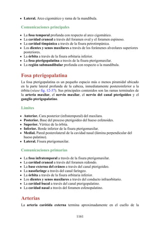 ANATOMIA SNELL 10MA EDICION ESPAÑOL.pdf