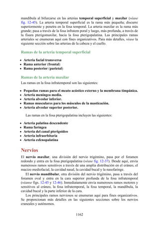 ANATOMIA SNELL 10MA EDICION ESPAÑOL.pdf