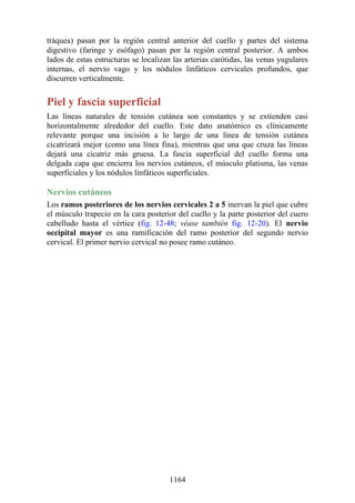ANATOMIA SNELL 10MA EDICION ESPAÑOL.pdf