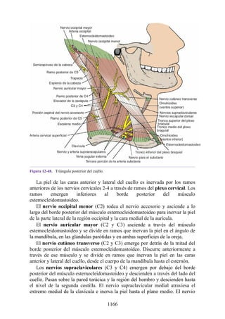 ANATOMIA SNELL 10MA EDICION ESPAÑOL.pdf