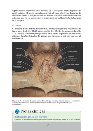ANATOMIA SNELL 10MA EDICION ESPAÑOL.pdf