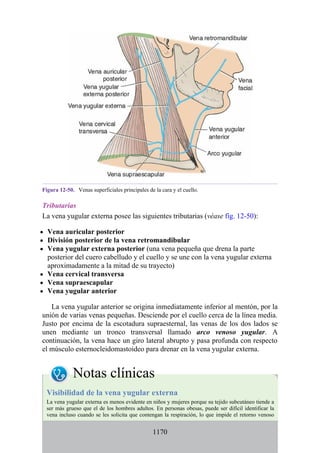 ANATOMIA SNELL 10MA EDICION ESPAÑOL.pdf