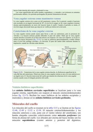 ANATOMIA SNELL 10MA EDICION ESPAÑOL.pdf