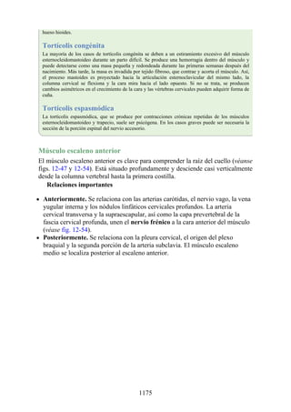 ANATOMIA SNELL 10MA EDICION ESPAÑOL.pdf