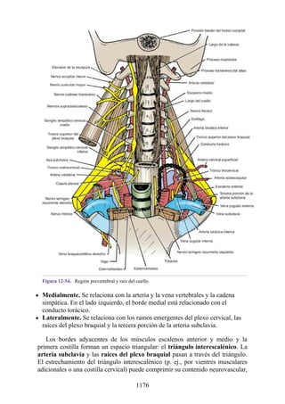 ANATOMIA SNELL 10MA EDICION ESPAÑOL.pdf