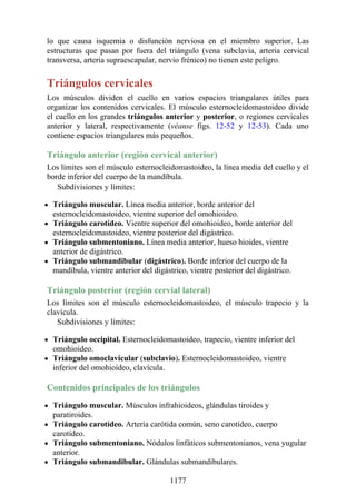 ANATOMIA SNELL 10MA EDICION ESPAÑOL.pdf