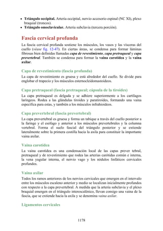 ANATOMIA SNELL 10MA EDICION ESPAÑOL.pdf