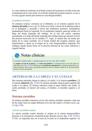 ANATOMIA SNELL 10MA EDICION ESPAÑOL.pdf
