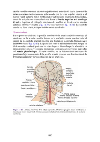 ANATOMIA SNELL 10MA EDICION ESPAÑOL.pdf
