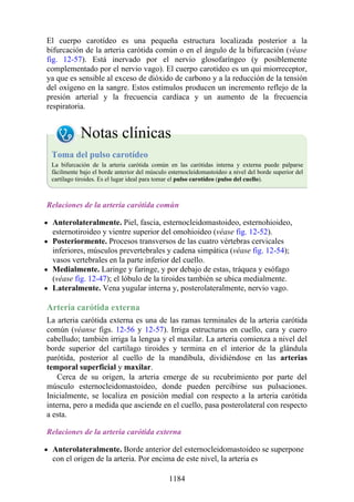 ANATOMIA SNELL 10MA EDICION ESPAÑOL.pdf