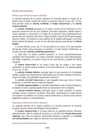 ANATOMIA SNELL 10MA EDICION ESPAÑOL.pdf