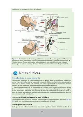 ANATOMIA SNELL 10MA EDICION ESPAÑOL.pdf
