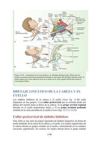 ANATOMIA SNELL 10MA EDICION ESPAÑOL.pdf