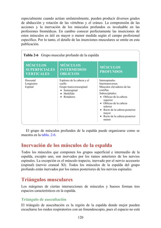 especialmente cuando actúan unilateralmente, pueden producir diversos grados
de abducción y rotación de las vértebras y el cráneo. La comprensión de las
acciones y la inervación de los músculos profundos es invaluable en las
profesiones biomédicas. En cambio conocer perfectamente las inserciones de
estos músculos es útil en mayor o menor medida según el campo profesional
específico. Por lo tanto, el detalle de las inserciones musculares se omite en esta
publicación.
Tabla 2-6 Grupo muscular profundo de la espalda
MÚSCULOS
SUPERFICIALES
VERTICALES
MÚSCULOS
INTERMEDIOS
OBLICUOS
MÚSCULOS
PROFUNDOS
Iliocostal
Longísimo
Espinal
Esplenio de la cabeza y el
cuello
Grupo transversoespinal:
Semiespinal
Multífido
Rotadores
Interespinales
Intertransversos
Músculos elevadores de las
costillas
Suboccipitales:
Oblicuo de la cabeza
superior
Oblicuo de la cabeza
inferior
Recto de la cabeza posterior
mayor
Recto de la cabeza posterior
menor
El grupo de músculos profundos de la espalda puede organizarse como se
muestra en la tabla. 2-6.
Inervación de los músculos de la espalda
Todos los músculos que componen los grupos superficial e intermedio de la
espalda, excepto uno, son inervados por los ramos anteriores de los nervios
espinales. La excepción es el músculo trapecio, inervado por el nervio accesorio
(espinal) (nervio craneal XI). Todos los músculos de la espalda del grupo
profundo están inervados por los ramos posteriores de los nervios espinales.
Triángulos musculares
Los márgenes de ciertas intersecciones de músculos y huesos forman tres
espacios característicos en la espalda.
Triángulo de auscultación
El triángulo de auscultación es la región de la espalda donde mejor pueden
escucharse los ruidos respiratorios con un fonendoscopio, pues el espacio no está
120
 