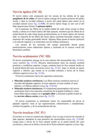 ANATOMIA SNELL 10MA EDICION ESPAÑOL.pdf