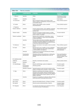 ANATOMIA SNELL 10MA EDICION ESPAÑOL.pdf