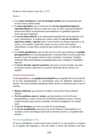 ANATOMIA SNELL 10MA EDICION ESPAÑOL.pdf