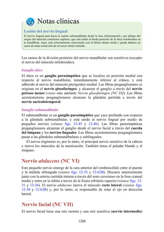 ANATOMIA SNELL 10MA EDICION ESPAÑOL.pdf