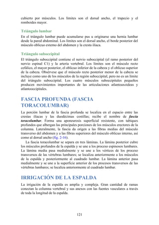 cubierto por músculos. Los límites son el dorsal ancho, el trapecio y el
romboides mayor.
Triángulo lumbar
En el triángulo lumbar puede acumularse pus u originarse una hernia lumbar
desde la pared abdominal. Los límites son el dorsal ancho, el borde posterior del
músculo oblicuo externo del abdomen y la cresta ilíaca.
Triángulo suboccipital
El triángulo suboccipital contiene el nervio suboccipital (el ramo posterior del
nervio espinal C1) y la arteria vertebral. Los límites son el músculo recto
cefálico, el mayor posterior, el oblicuo inferior de la cabeza y el oblicuo superior
de la cabeza. Obsérvese que el músculo recto posterior menor de la cabeza se
incluye como uno de los músculos de la región suboccipital, pero no es un límite
del triángulo suboccipital. Los cuatro músculos suboccipitales pequeños
producen movimientos importantes de las articulaciones atlantoaxoideas y
atlantooccipitales.
FASCIA PROFUNDA (FASCIA
TORACOLUMBAR)
La porción lumbar de la fascia profunda se localiza en el espacio entre las
crestas ilíacas y las duodécimas costillas; recibe el nombre de fascia
toracolumbar. Forma una aponeurosis superficial resistente, con tabiques
profundos que albergan las principales porciones de los músculos erectores de la
columna. Lateralmente, la fascia da origen a las fibras medias del músculo
transverso del abdomen y a las fibras superiores del músculo oblicuo interno, así
como al dorsal ancho (fig. 2-16).
La fascia toracolumbar se separa en tres láminas. La lámina posterior cubre
los músculos profundos de la espalda y se une a los proceso espinosos lumbares.
La lámina media pasa medialmente y se une a los vértices de los proceso
transversos de las vértebras lumbares; se localiza anteriormente a los músculos
de la espalda y posteriormente al cuadrado lumbar. La lámina anterior pasa
medialmente y se une a la superficie anterior de los procesos transversos de las
vértebras lumbares; se localiza anteriormente al cuadrado lumbar.
IRRIGACIÓN DE LA ESPALDA
La irrigación de la espalda es amplia y compleja. Gran cantidad de ramas
conectan la columna vertebral y sus anexos con las fuentes vasculares a través
de toda la longitud de la espalda.
121
 