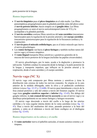 ANATOMIA SNELL 10MA EDICION ESPAÑOL.pdf