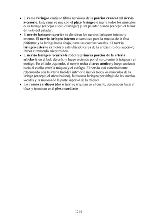 ANATOMIA SNELL 10MA EDICION ESPAÑOL.pdf