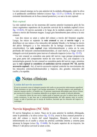 ANATOMIA SNELL 10MA EDICION ESPAÑOL.pdf