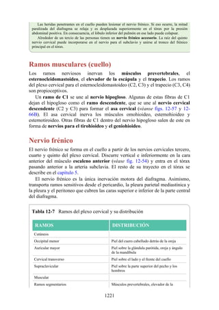 ANATOMIA SNELL 10MA EDICION ESPAÑOL.pdf