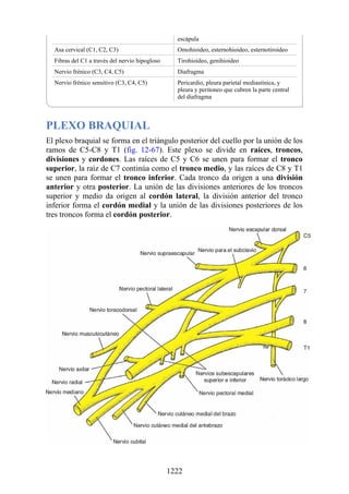 ANATOMIA SNELL 10MA EDICION ESPAÑOL.pdf